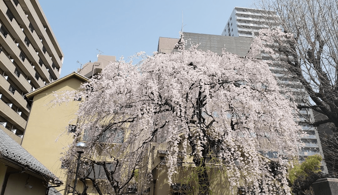 Zenshoji Temple