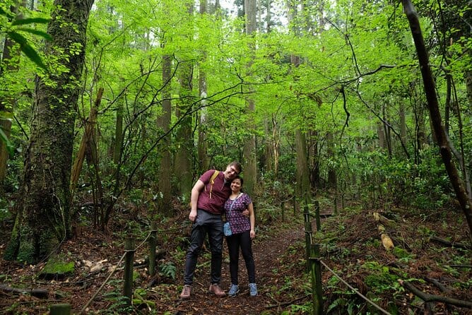 Forest Bathing in Hakone Geopark