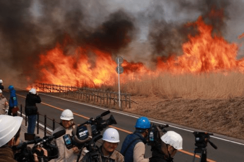 Highlights of the Yamayaki at Sengokuhara Susuki Grassland