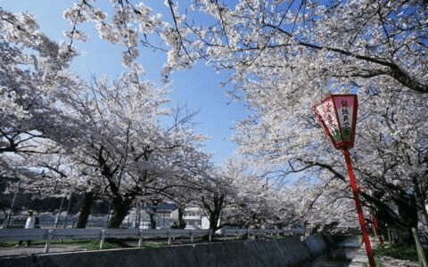 Kumasaka River