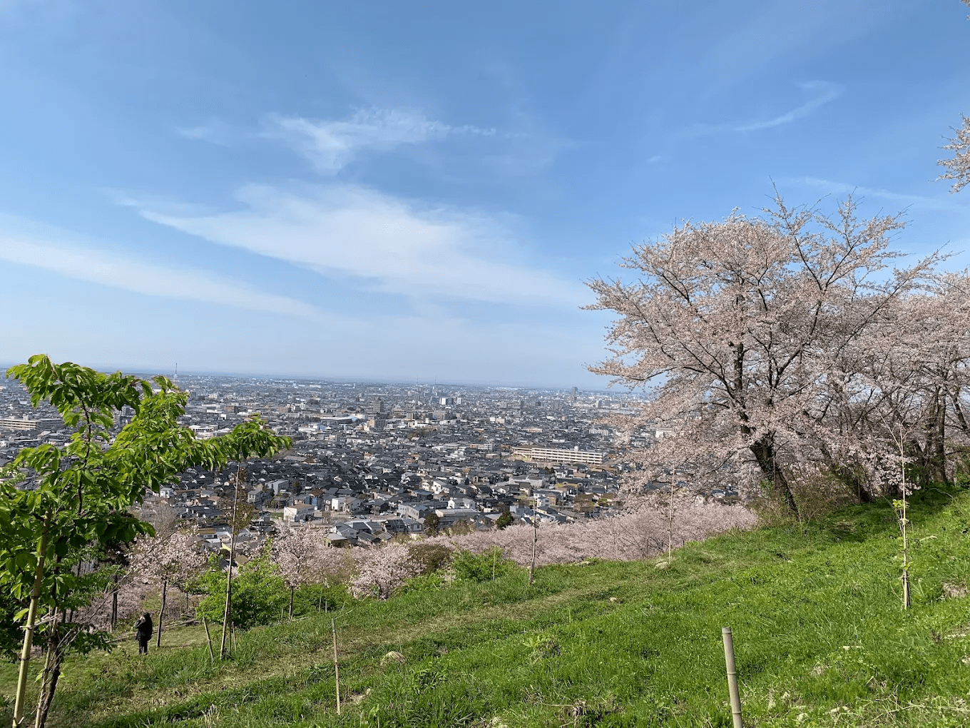 Takao Castle Ruins