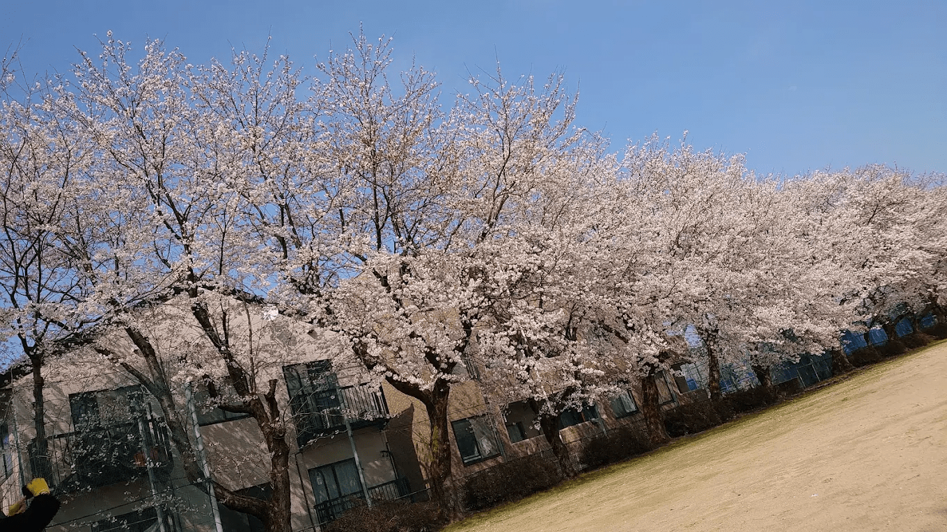 Shimobayashisakura Park