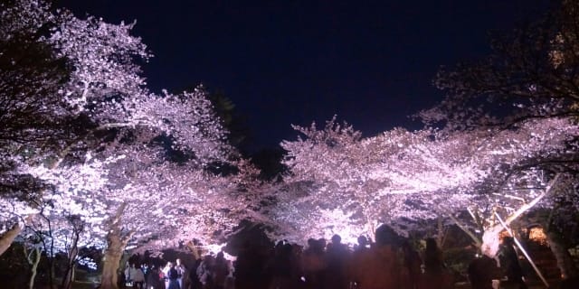 raditional Events Held Annually