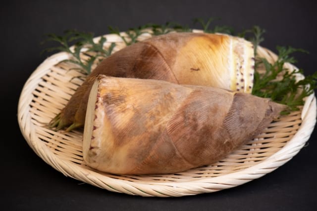 Exquisite Foods at Their Peak in Spring