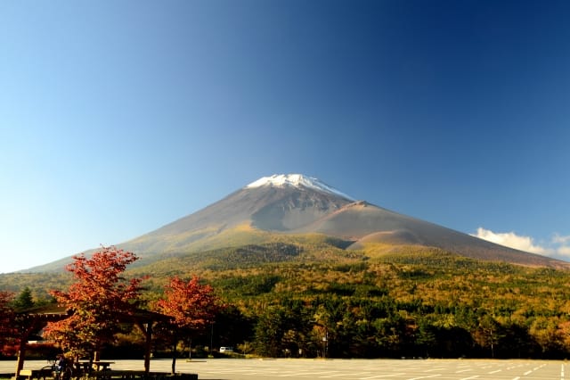 In November, When You Can Enjoy Autumn Foliage, You Can Also Enjoy Mt. Fuji's Snow Cap!