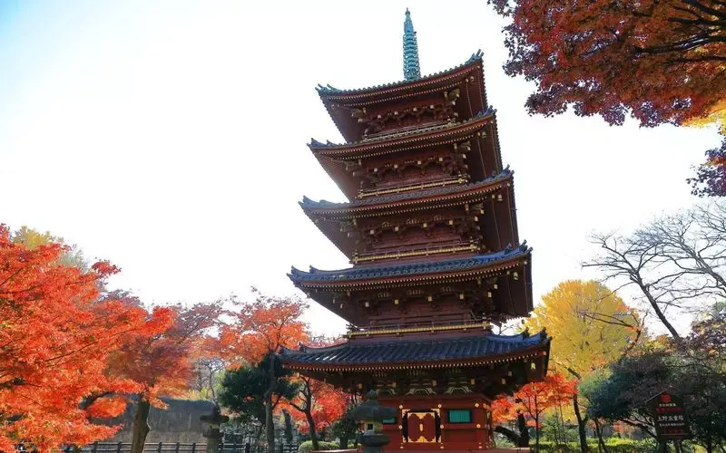 Five-Story Pagoda Surrounded by Fall Colors