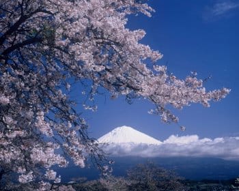 Kotokuji Temple