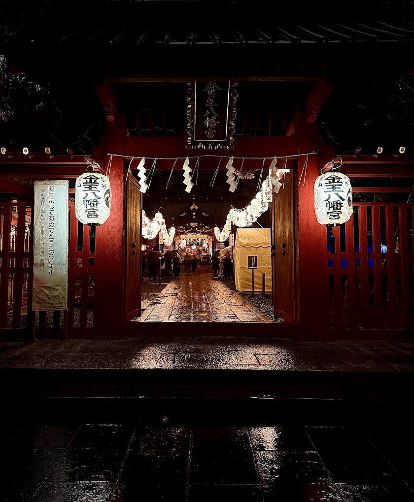 Enjoy the Illuminated Shrine Building During Cherry Blossom Season!