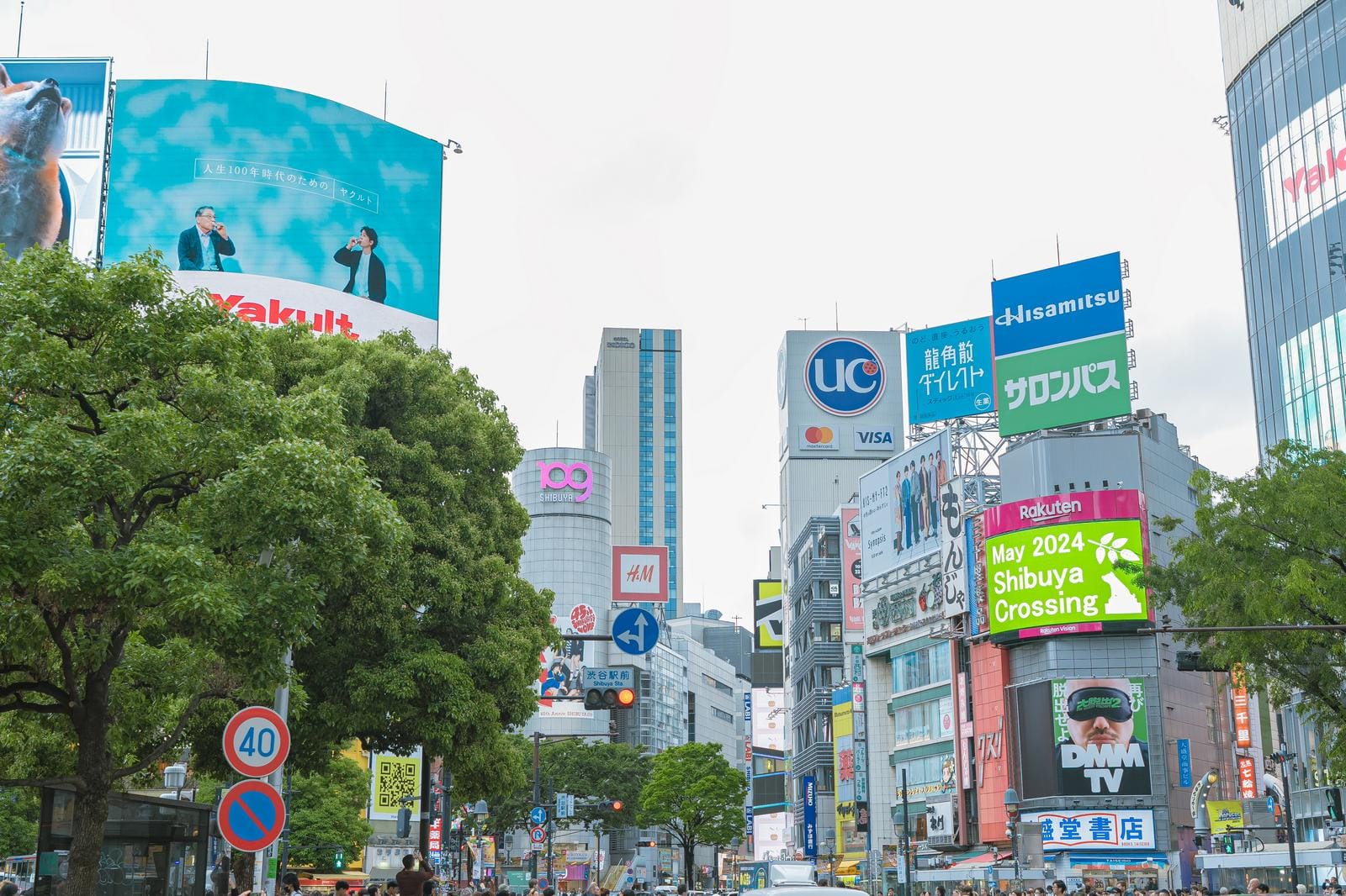 shinjuku vs shibuya12.jpg