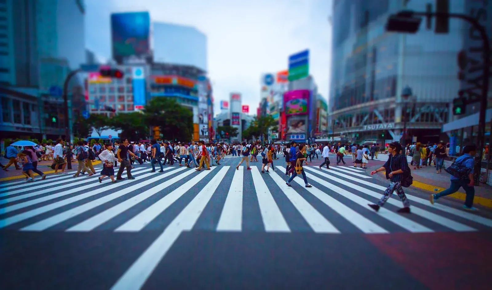 shinjuku vs shibuya3.webp