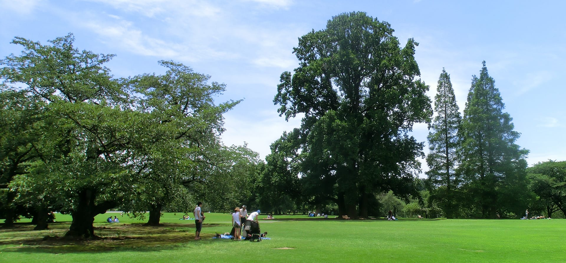 Shinjuku Gyoen