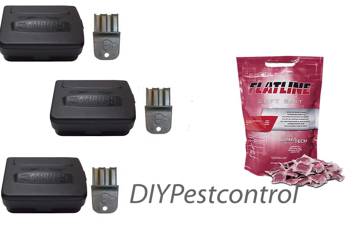 Flatline Soft Bait and Protecta Evo Ambush Station Kit