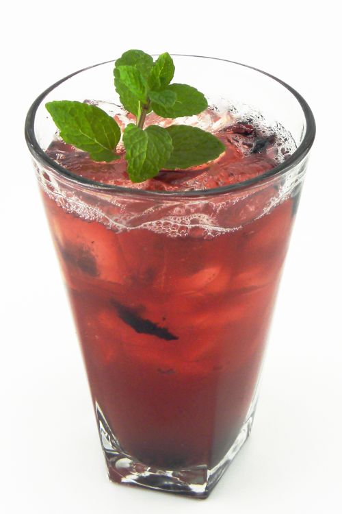 Handcrafted Blueberry Shrub Tea