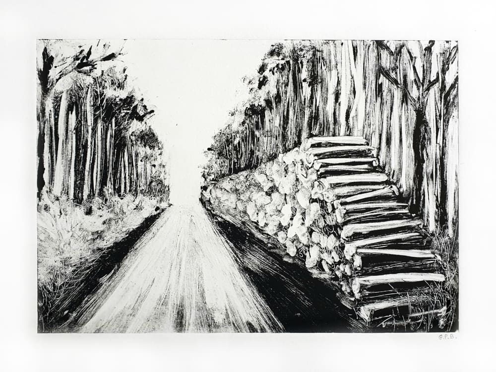 Forêt de Bercé