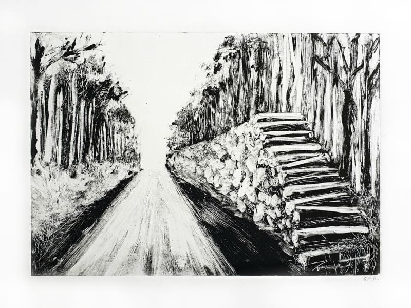Forêt de Bercé