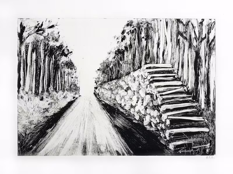 Forêt de Bercé