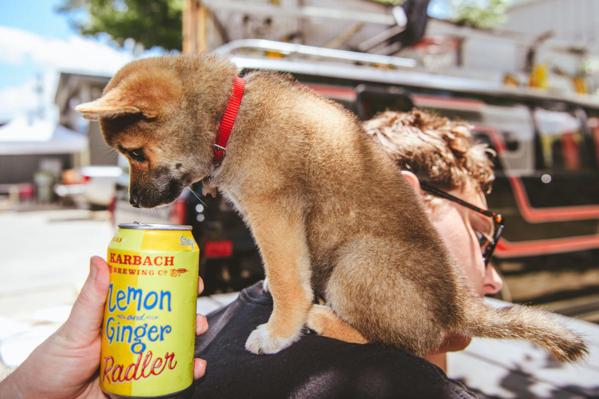 Beer30 Karbach Lemon and Ginger Radler