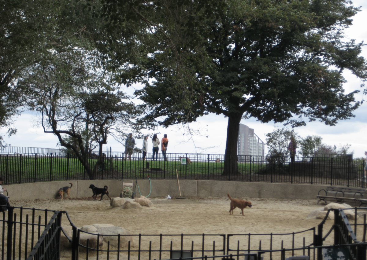 New York's Best Dog Parks