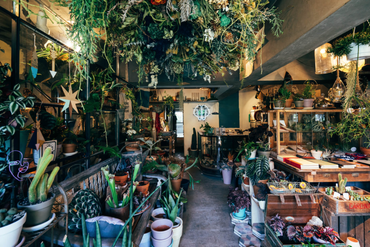 Weekend Adventures in NYC