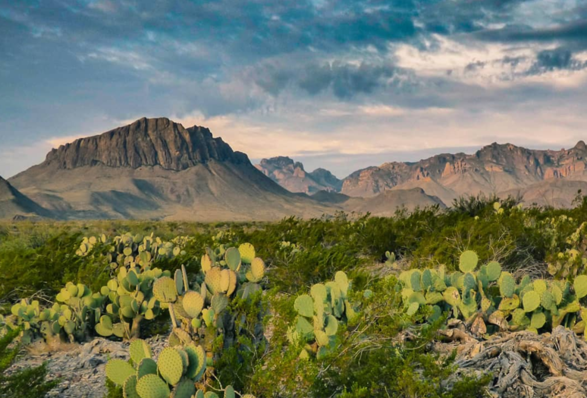 Texas Roadtrips To Take This Fall