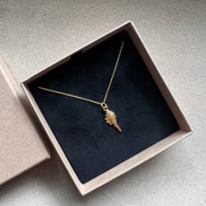 Gold Seashell necklace: Necklace with seashell
