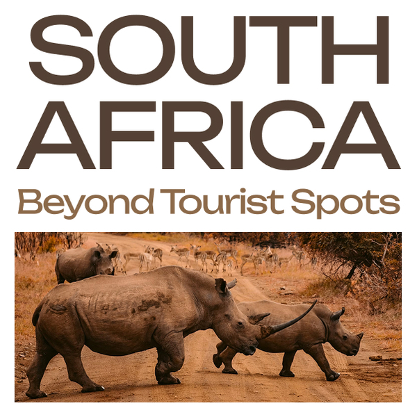 South Africa Travel Guide: Hidden Gems, Local Experiences & Travel Tips
