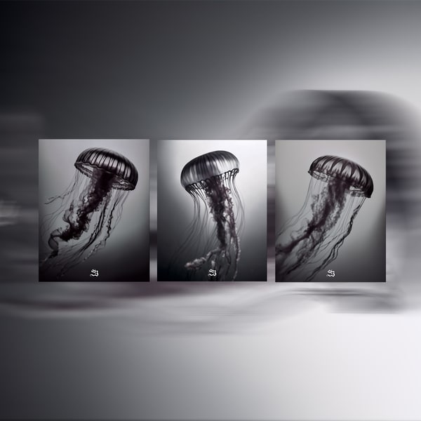 MEDUZA (Series)
