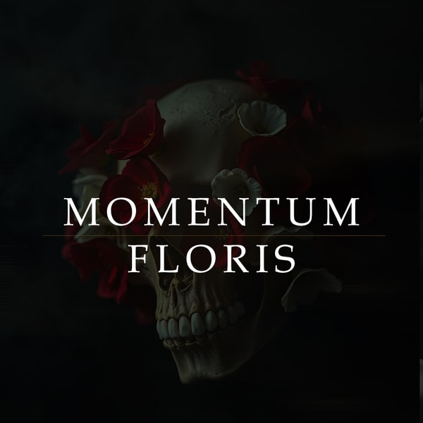 Momentum Floris