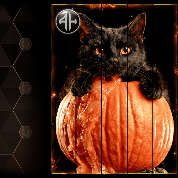 Pumpkin Cat | Animated Steam Showcase 2P + 5P + Installer