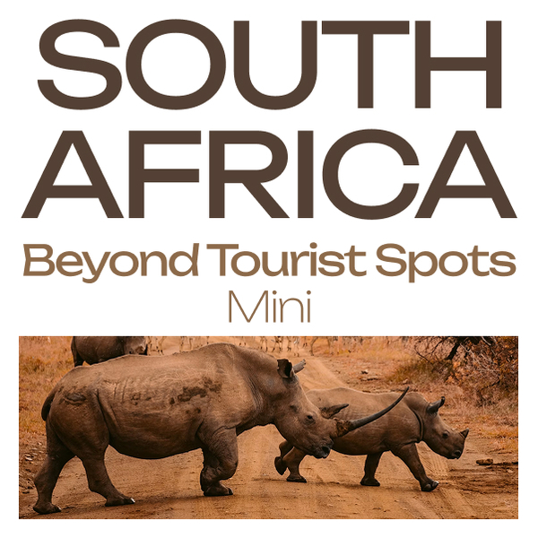 South Africa Mini Guide: A Taste of South Africa