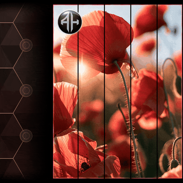 Red Wildflower | Animated Steam Showcase 2P + 5P + Installer