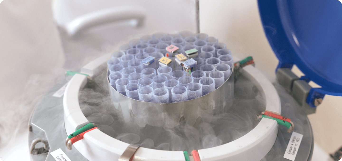 egg freezing IVF