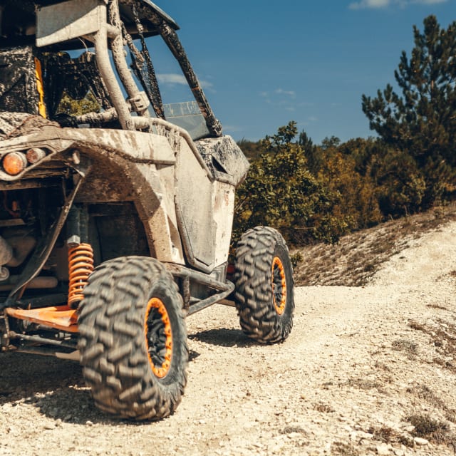Close-up view of an ATV on a rocky path surrounded by trees under a clear blue sky