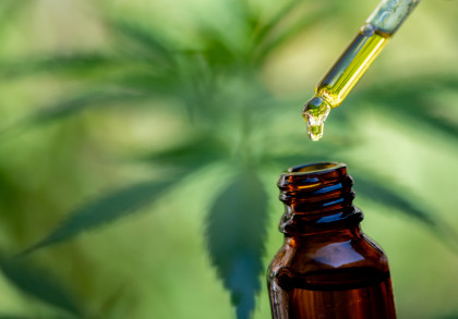 Eine Nahaufnahme einer Pipette, aus der eine gelbliche Flüssigkeit tropft, in eine braune Glasflasche. Im Hintergrund sind verschwommene grüne Blätter zu sehen.