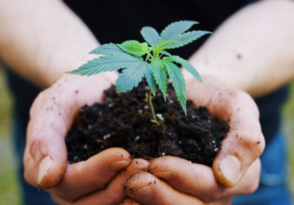 Nahaufnahme von Händen, die einen kleinen Pflanzensämling in dunkler Erde halten. Die Hände sind leicht schmutzig von der Erde. Der Hintergrund ist unscharf und deutet auf einen natürlichen Außenbereich hin.