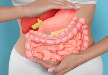 Eine Frau in weißer Kleidung hält ihre Hände vor ihrem Bauch, auf dem eine Illustration des Verdauungssystems (Magen, Dünndarm und Dickdarm) angezeigt wird. Der Hintergrund ist blau.