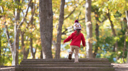 Ein kleines Kind in rotem Pullover und bunter Wintermütze läuft eine Treppe hinauf in einem herbstlichen Wald mit bunten Blättern an den Bäumen.