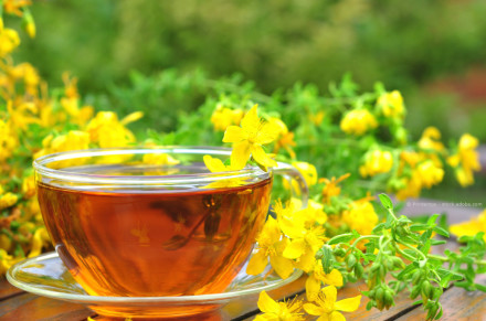Eine Tasse Kräutertee neben frischen gelben Johanniskrautblüten auf einem Holztisch im Freien. Im Hintergrund sind weitere grüne Pflanzen und verschwommene gelbe Blüten zu sehen.
