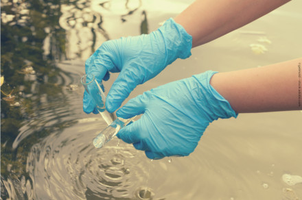 Nahaufnahme von zwei Händen mit blauen Einweghandschuhen, die Wasserproben aus einem Teich oder See entnehmen.
