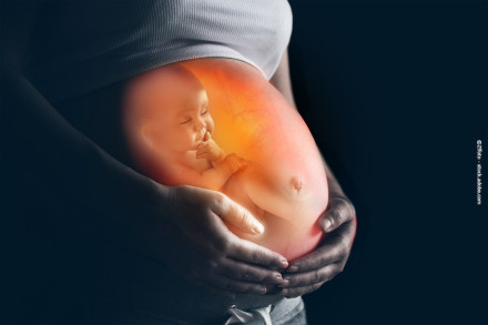 Eine schwangere Frau hält ihren nackten Bauch, auf dem Bauch ist ein Bild eines ungeborenen Babys abgebildet.