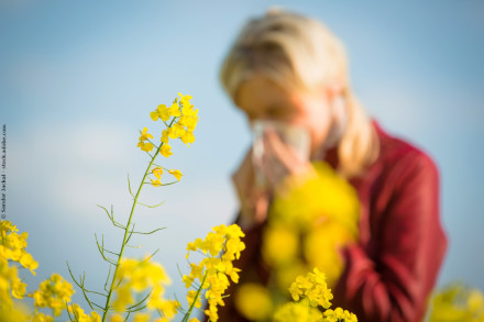 Eine Frau im Hintergrund, die sich die Nase putzt, während sie von gelb blühenden Blumen umgeben ist. Die Pflanzen im Vordergrund sind scharf fokussiert, während die Person unscharf ist. Es scheint ein sonniger Tag mit klarem Himmel zu sein.