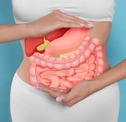 Eine Frau in weißer Kleidung hält ihre Hände vor ihrem Bauch, auf dem eine Illustration des Verdauungssystems (Magen, Dünndarm und Dickdarm) angezeigt wird. Der Hintergrund ist blau.