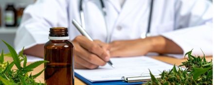 Eine Ärztin schreibt ein Rezept für medizinisches Cannabis.