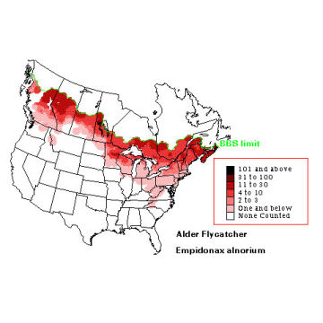 Alder Flycatcher distribution map