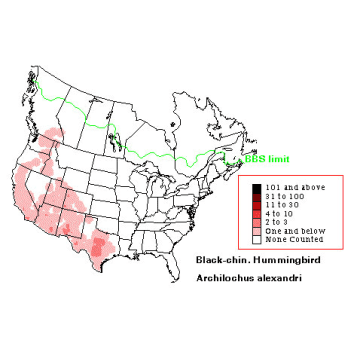 Black-chinned Hummingbird distribution map