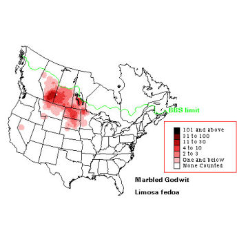 Marbled Godwit distribution map