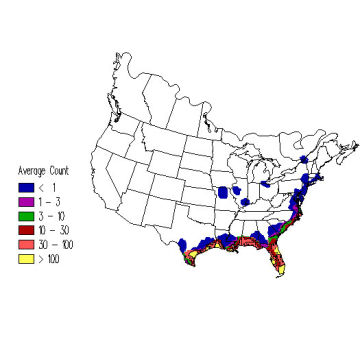 Laughing Gull winter distribution map