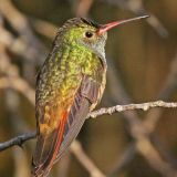 Estero Llano Grande S.P., Weslaco, Texas