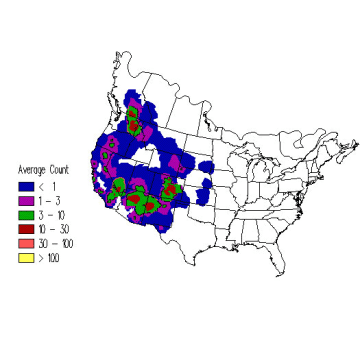 Pygmy Nuthatch winter distribution map