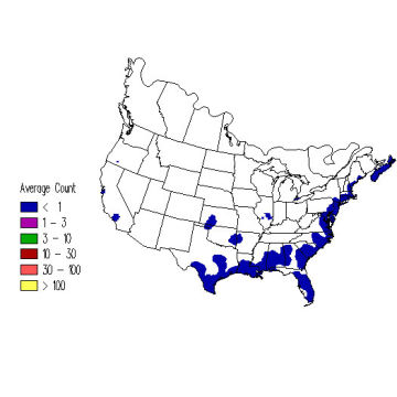 Yellow-breasted Chat winter distribution map